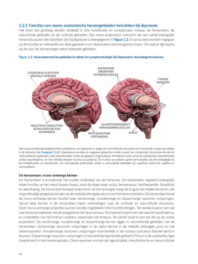 Anatomische gebieden
